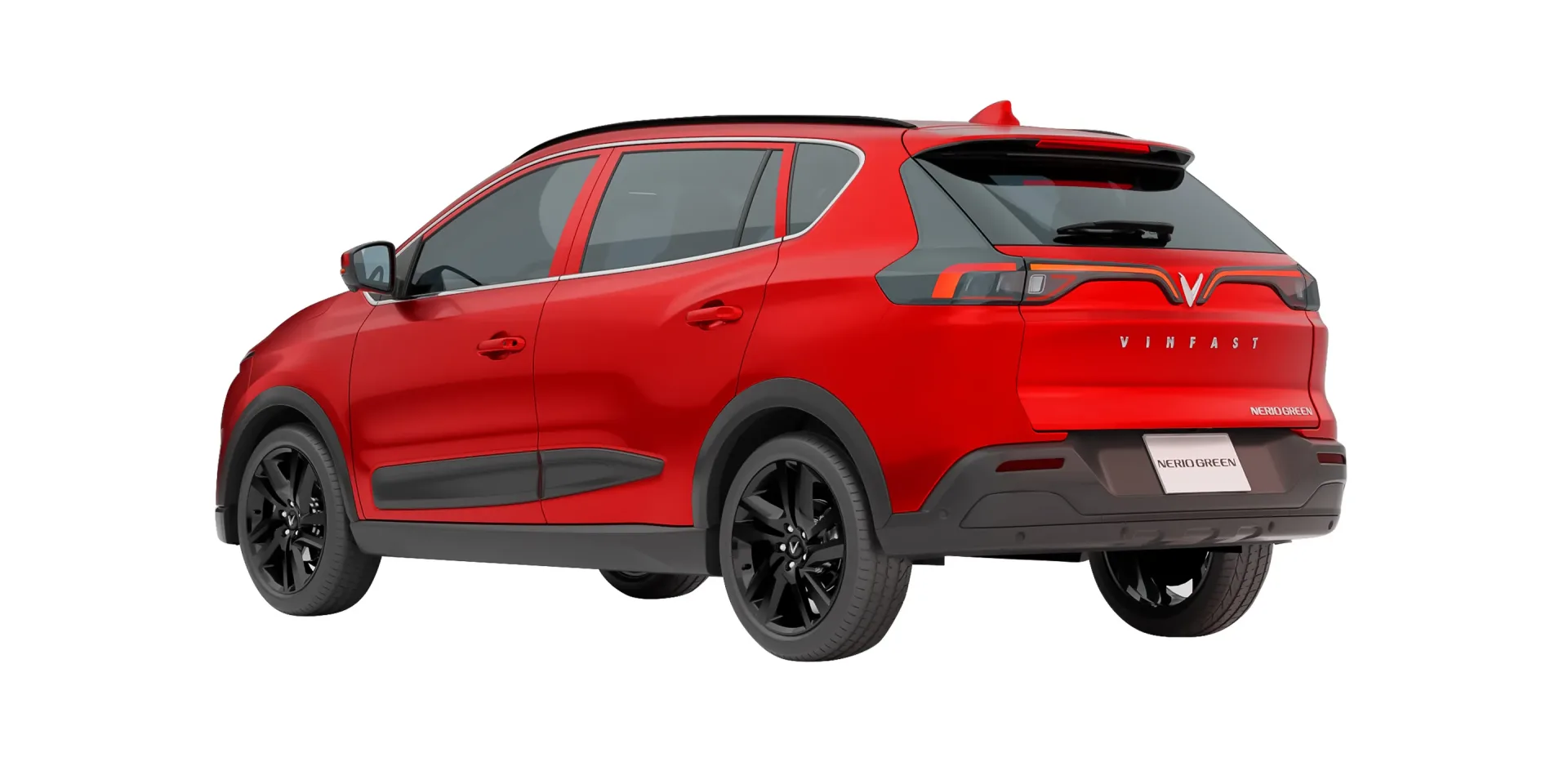 Imgi_58_nerio-img-12