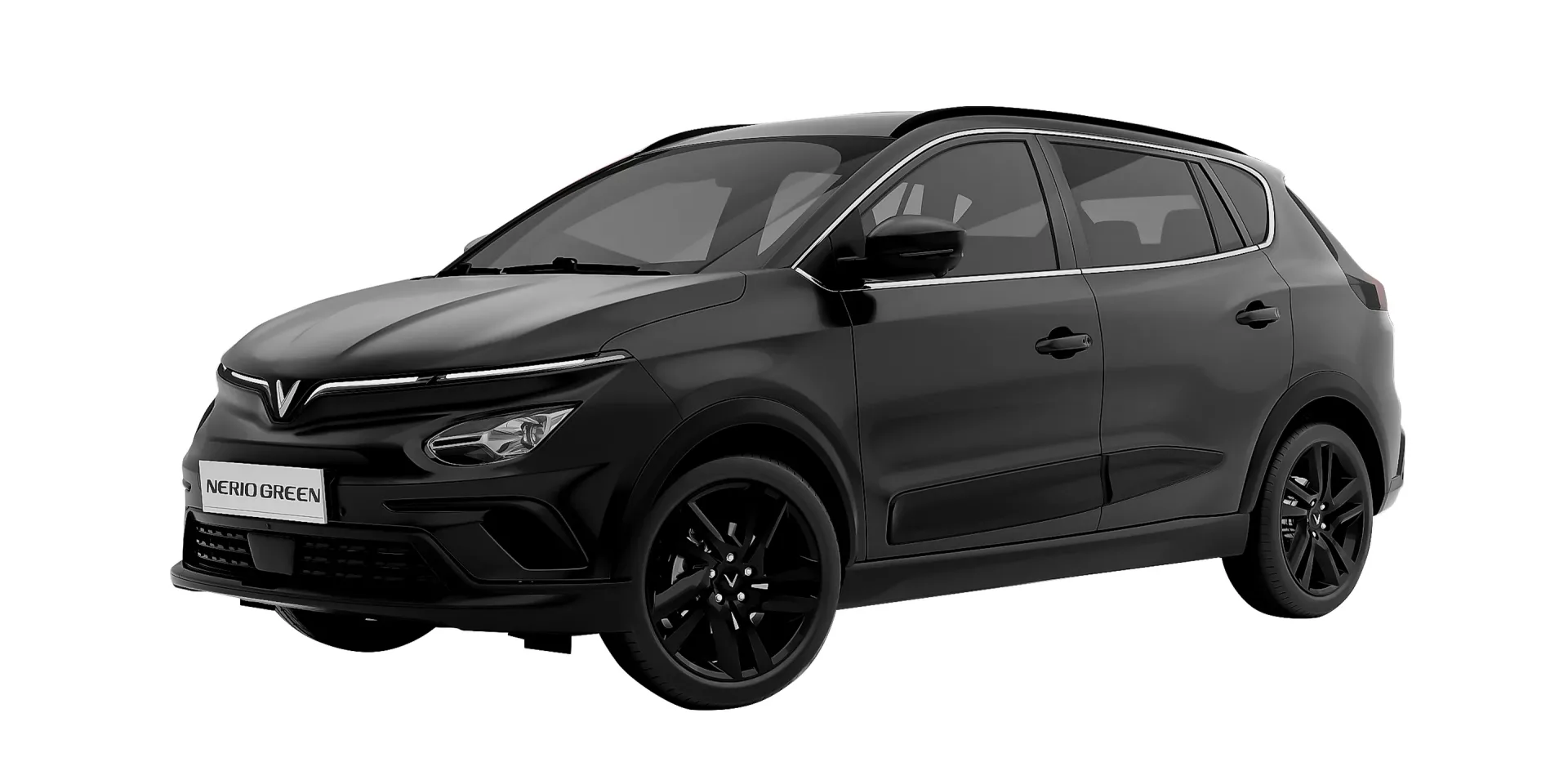 Imgi_59_nerio-img-01