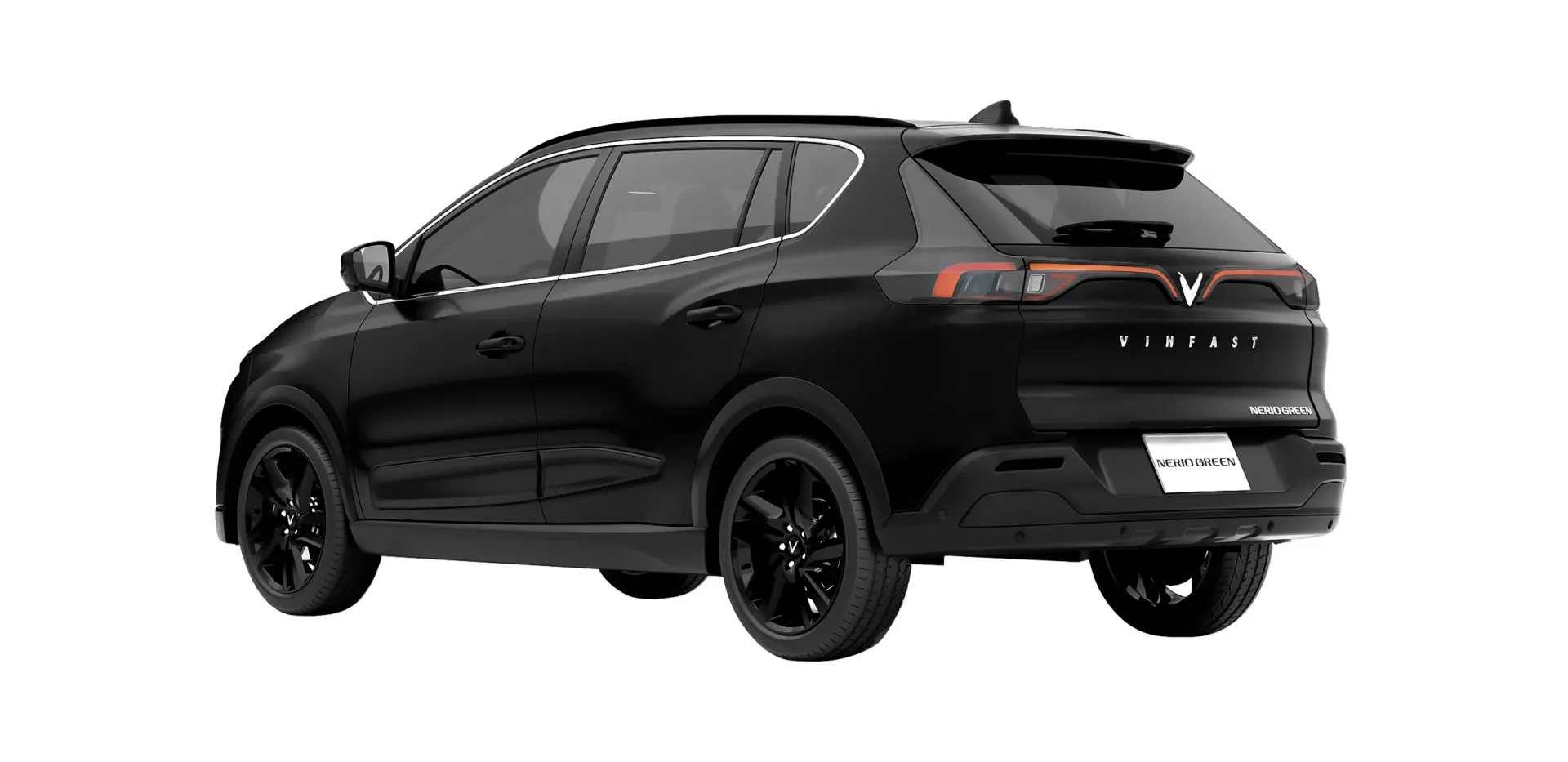 Imgi_61_nerio-img-03