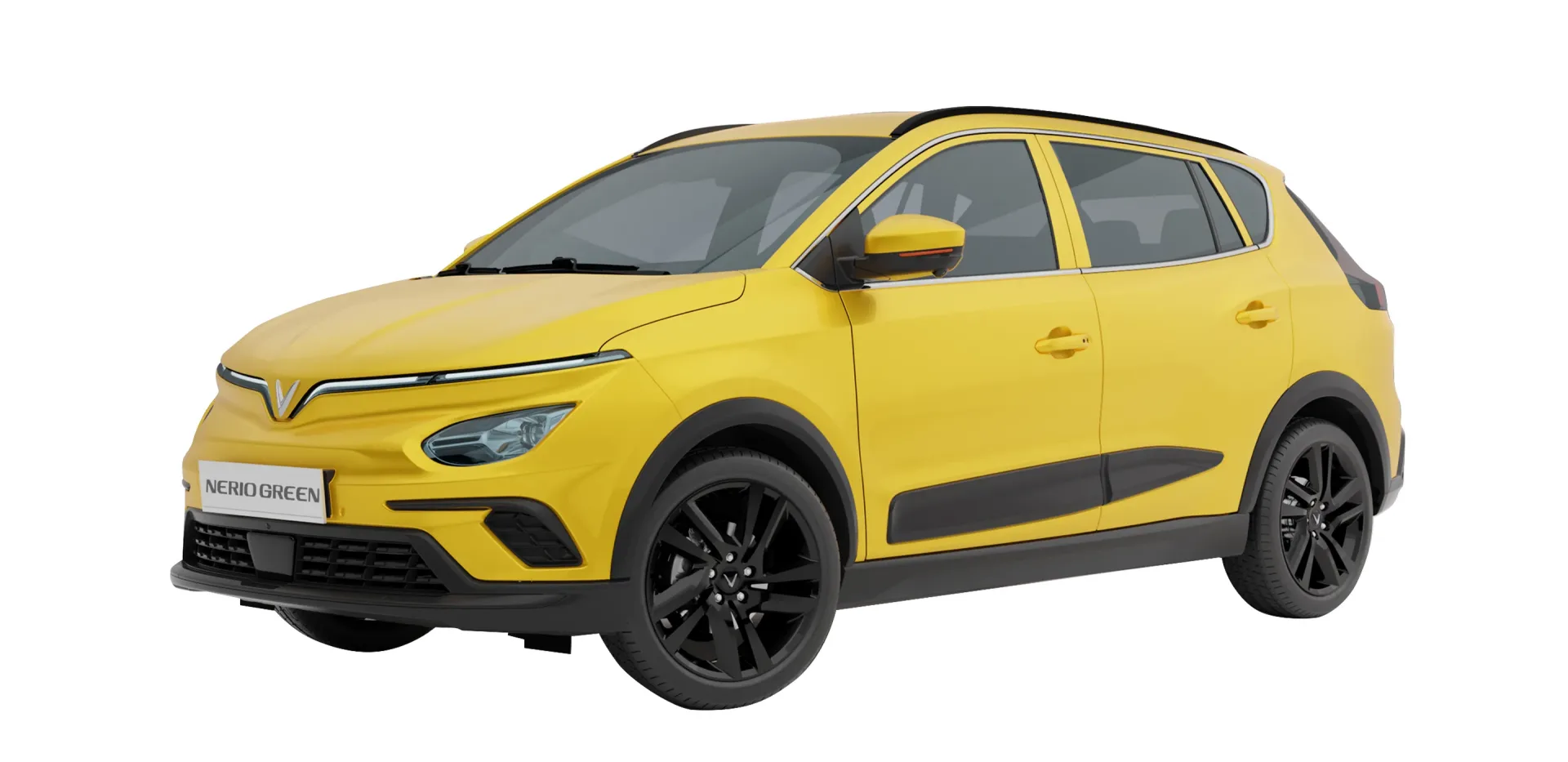 Imgi_62_nerio-img-04