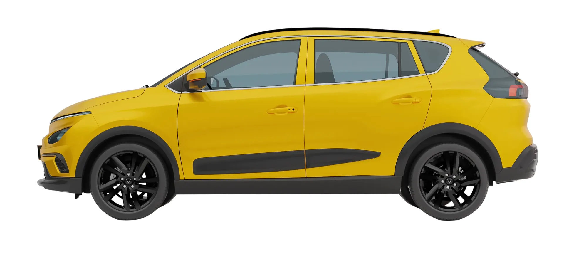 Imgi_63_nerio-img-05