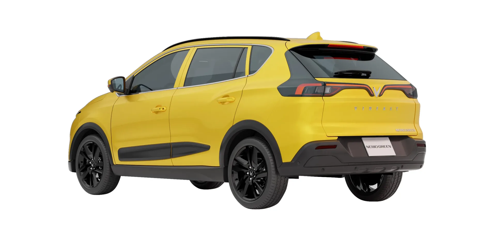 Imgi_64_nerio-img-06