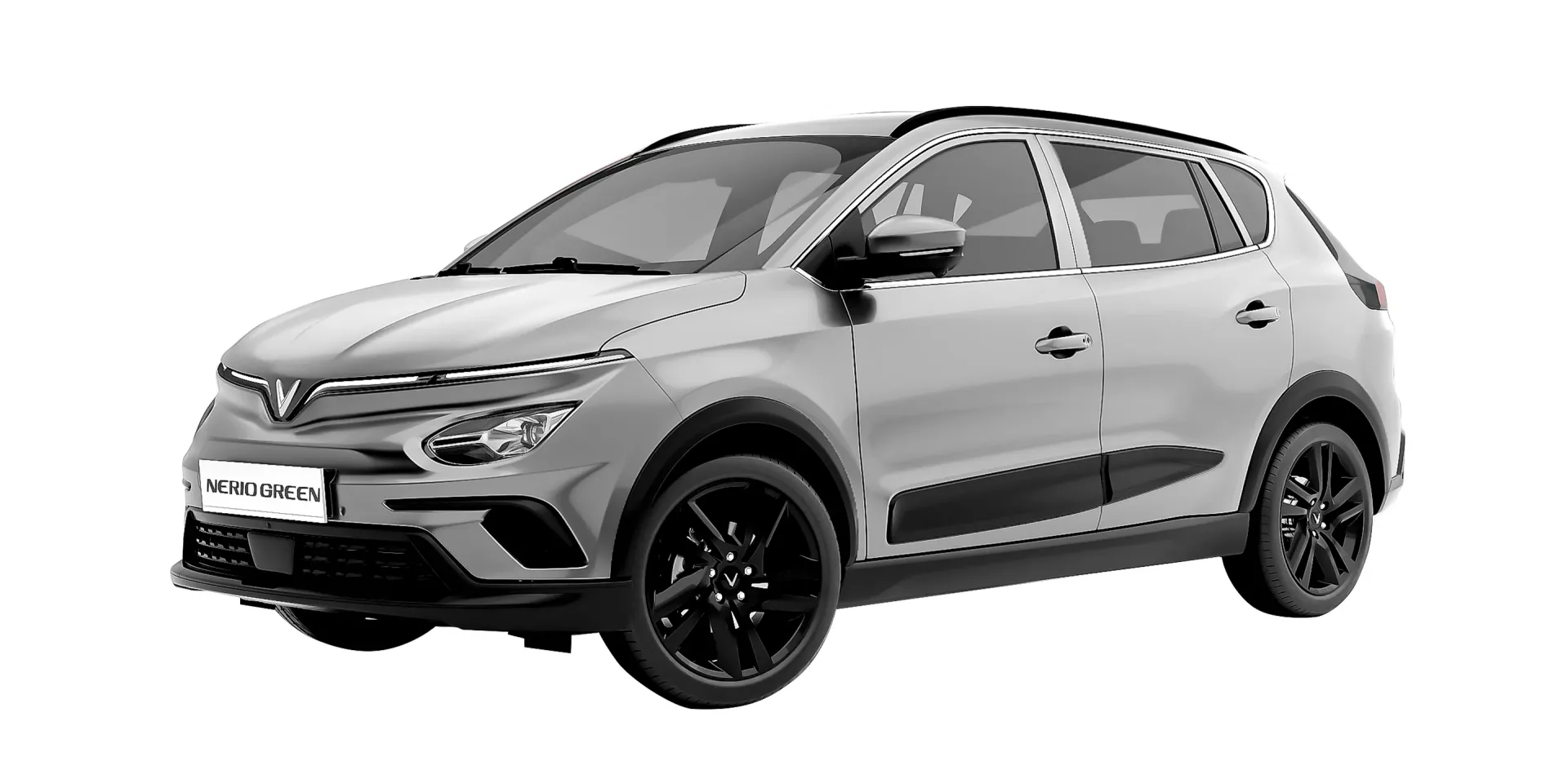 Imgi_65_nerio-img-07