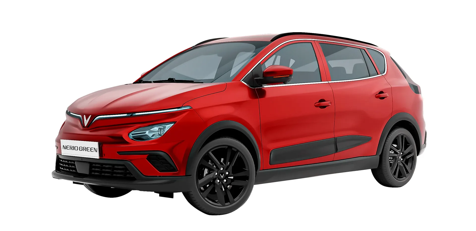 Imgi_68_nerio-img-10