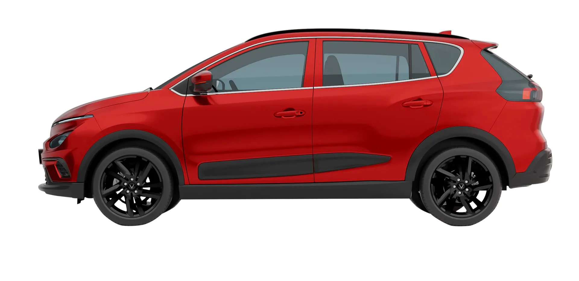 Imgi_69_nerio-img-11